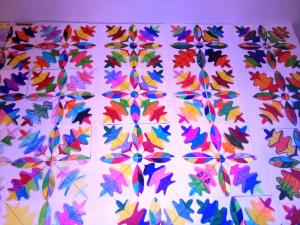 IMG 20171013 111614
